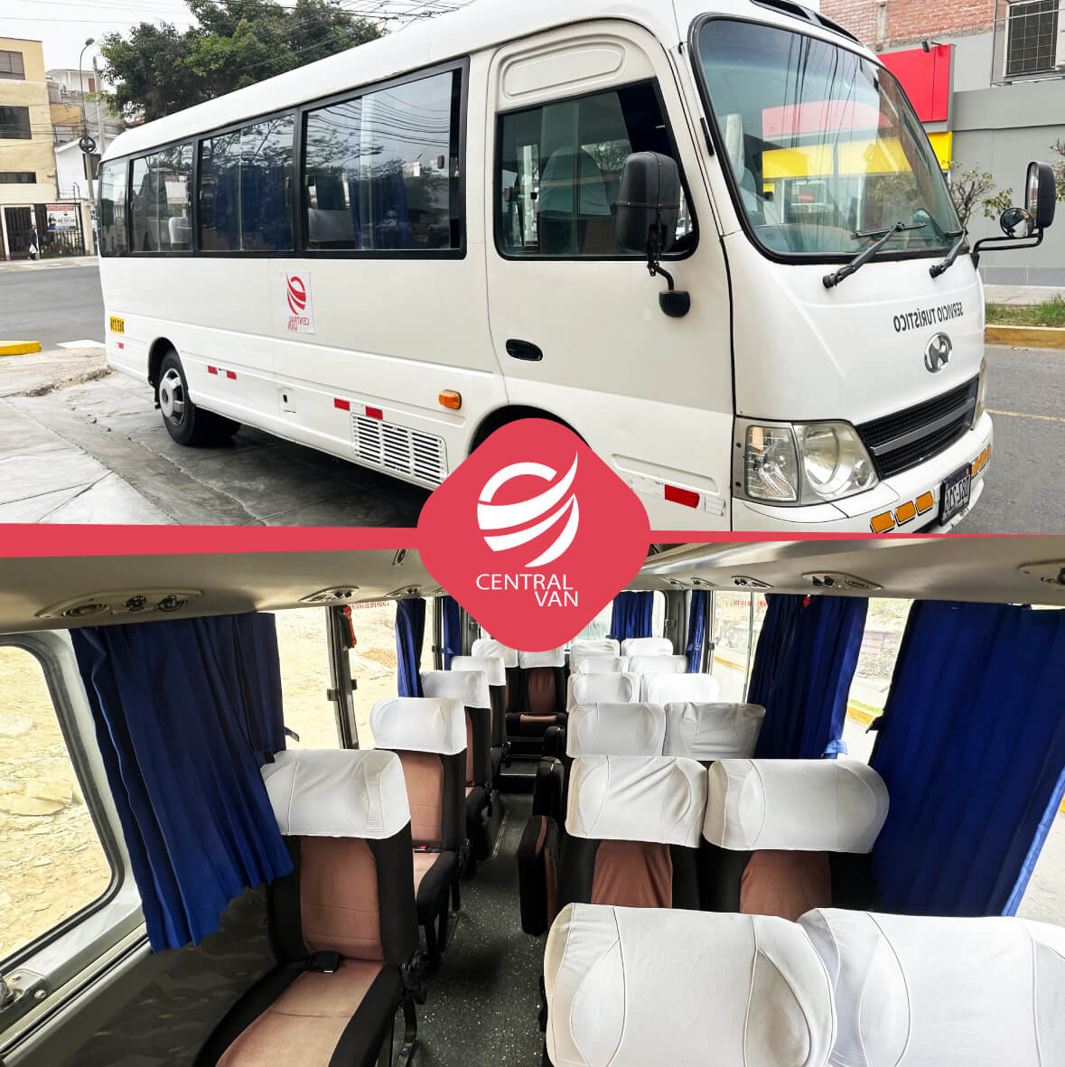 alquiler de buses 84